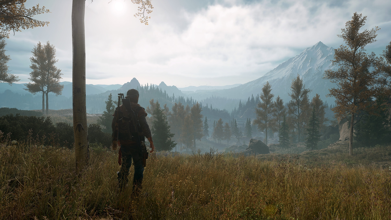 Days Gone скачать