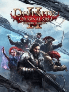 Divinity Original Sin 2 скачать